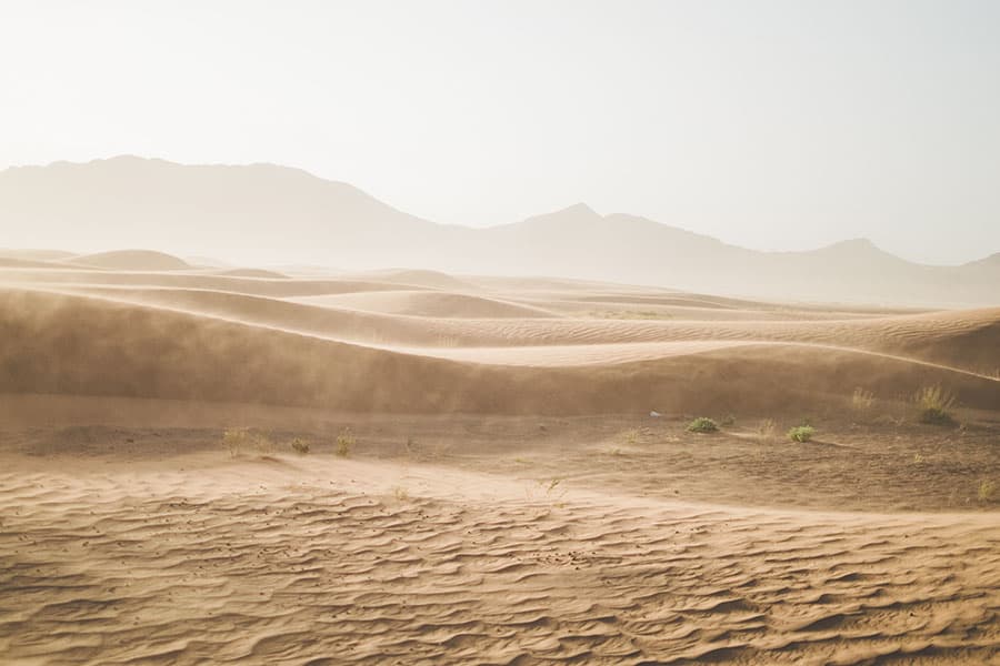 Пустиня - Сахара - прах
