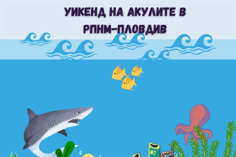 Уикенд на акулите в Природонаучния музей в Пловдив