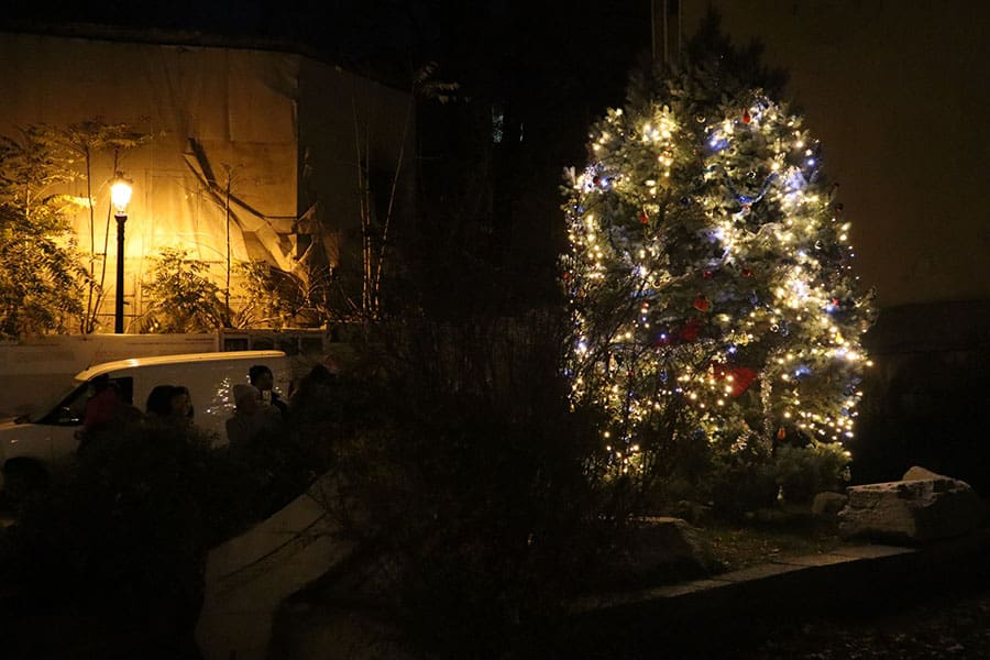 От снощи на Лапидариума в Стария град блестят светлините на живото коледно дърво