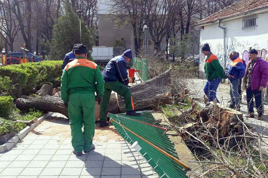 Над 90 сигнала за паднали дървета и клони от силния вятър в Пловдив