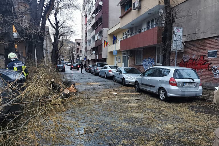 Силният вятър в Пловдив предизвика хаос по улиците и причини материални щети