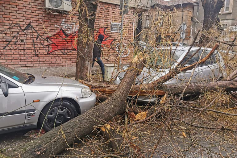 Силният вятър в Пловдив предизвика хаос по улиците и причини материални щети