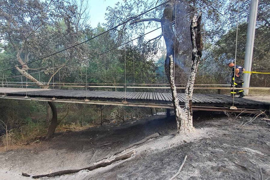 Множество пожари в областта и един в района на Гребната база в Пловдив