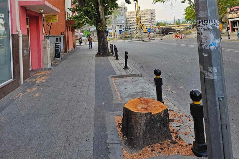 Жалба спря изсичането на дървета по пловдивския бул. Васил Априлов