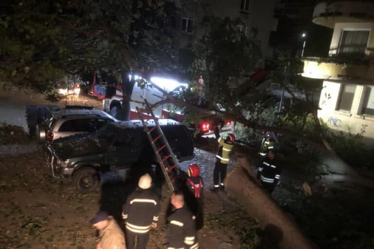 Разпадащо се дърво нанесе щети на 10 автомобила в район Централен на Пловдив