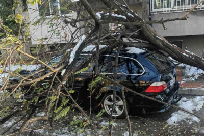 Над 200 са сигналите за паднали дървета и клони върху автомобили в Пловдив за денонощие