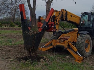 Община Пловдив закупи машина за преместване на големи дървета
