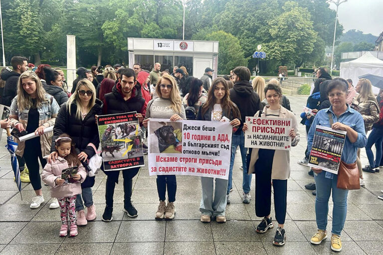 Пловдивчани излязоха на протест с искания за присъда за насилника на кучето Джеси